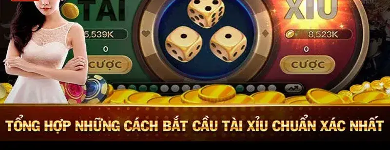 bat cau tai xiu 67fa5a80a0d14